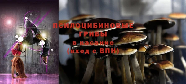 тгк Алексеевка