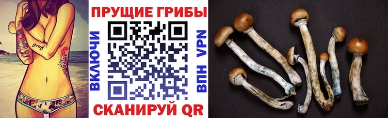 Псилоцибиновые грибы мицелий наркошоп OMG ссылка Димитровград