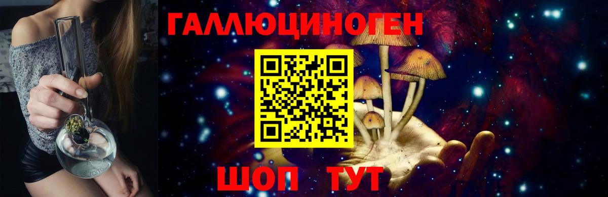 Псилоцибиновые грибы GOLDEN TEACHER  Вход с VPN  Димитровград  Псилоцибиновые грибы прущие грибы 