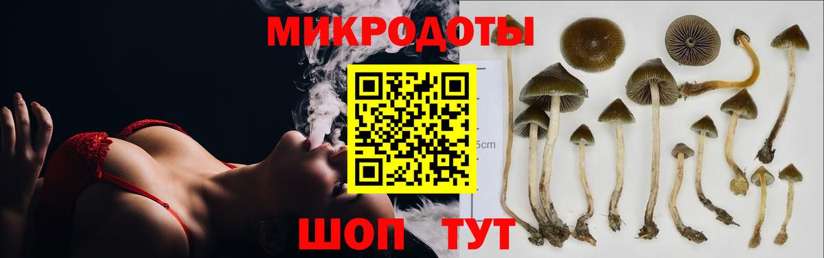 Галлюциногенные грибы мицелий Димитровград