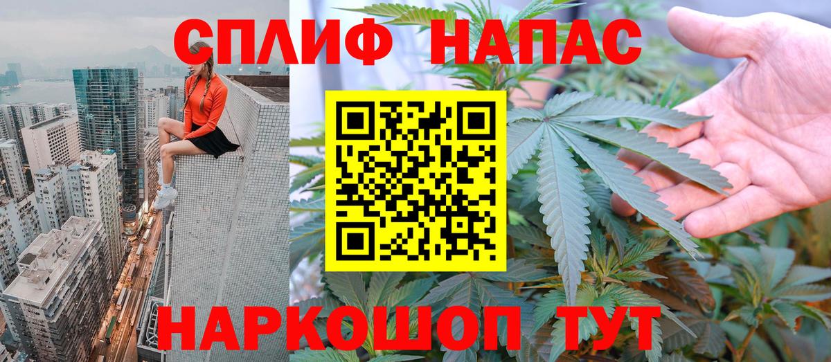 Бошки Шишки сатива Димитровград
